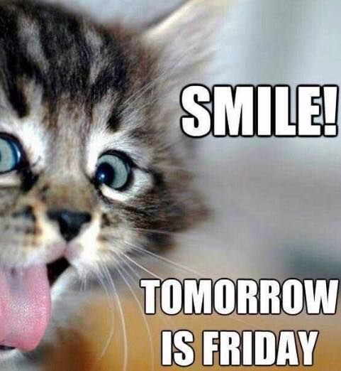 Whose ready for Friday?😀😁