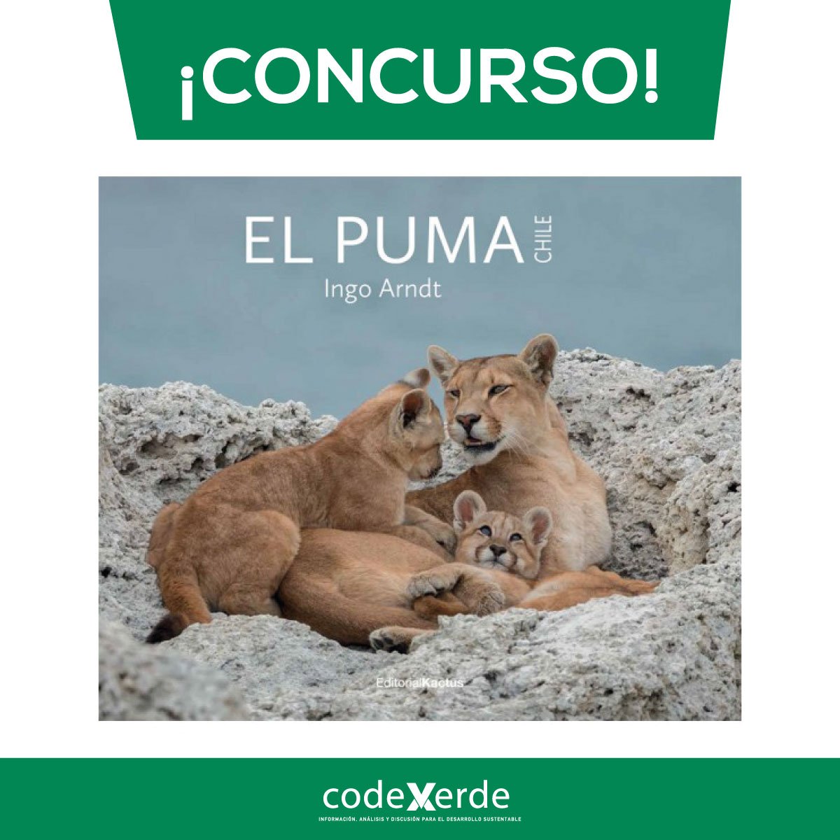Codexverde on Twitter: "¡Concurso, concurso! por uno de los tres ejemplares del libro "El Puma", de Editorial Kactus😉 ¿Cómo? 👀 1. Dale RT y "me gusta" a la publicación✔️ 2.