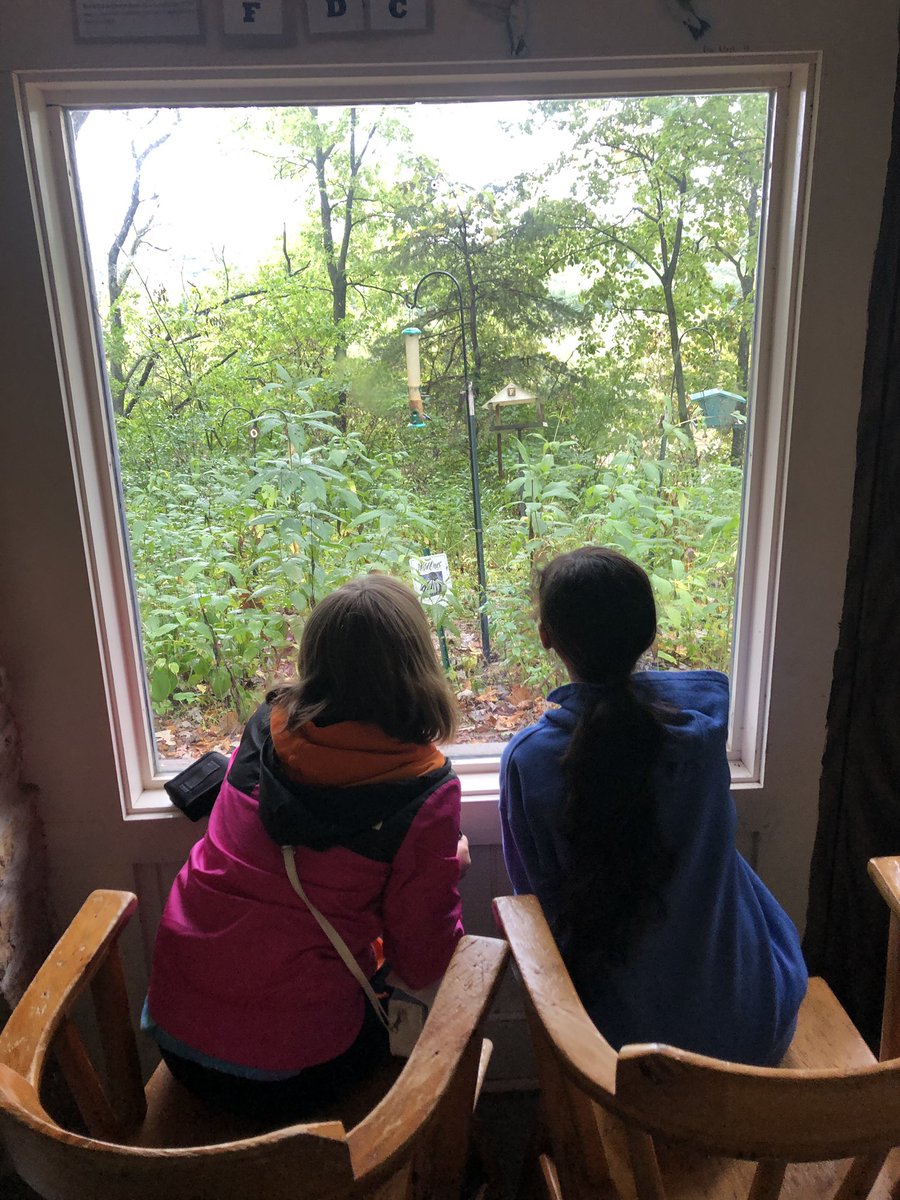 Observing some great birds! A cardinal came to visit! <a href="/EaglesAtTaft/">EaglesAtTaft</a>