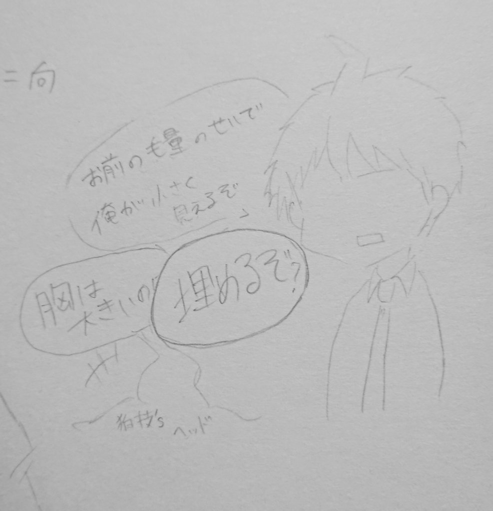 いつぞやか描いた日向クンと狛枝クン…(1枚目は分かるけど)
あまり変わってないっていうか成長してねぇ
#スーパーダンガンロンパ2 