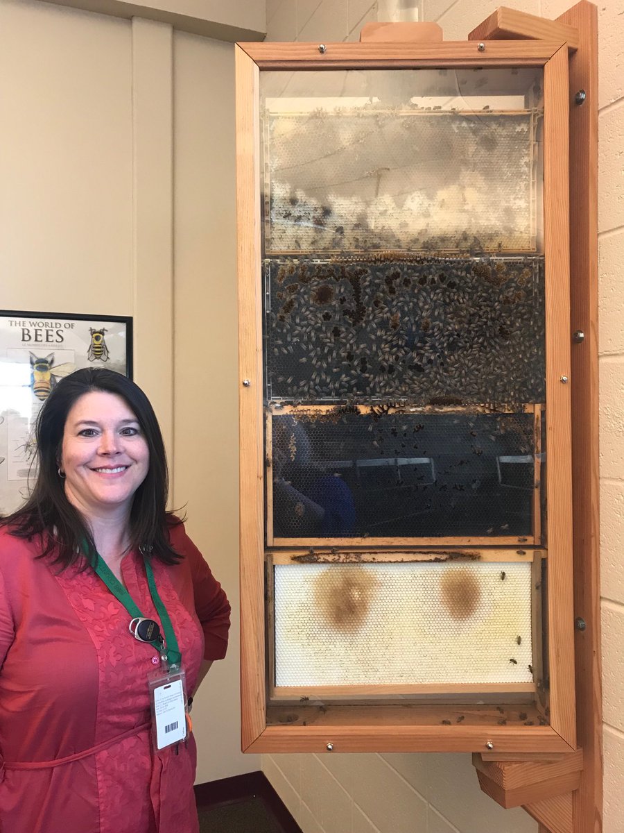 mradcliff's tweet photo. A huge “thank you” to Leah Freeman at Rutland Middle School for educating me on their bees, their fascinating hive, and the delicious Hurricane Honey! #BibbVIP #VIPtechnology ⁦@MichelleBibb⁩ https://t.co/n7ISdORGeX