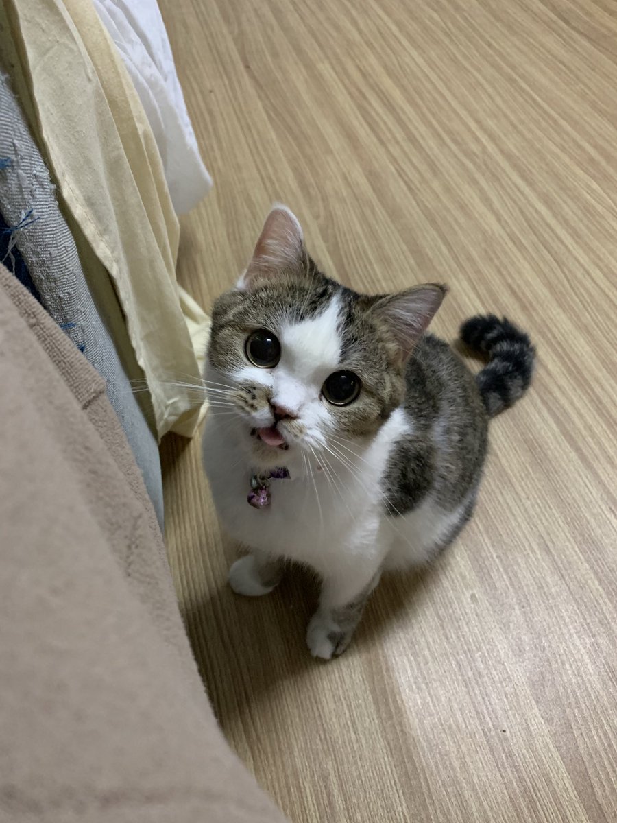 furbyfah's tweet image. ทุกคนจะอยากได้รูปนังอ้นนี่ไปทำไมกันคะ ฮือออ