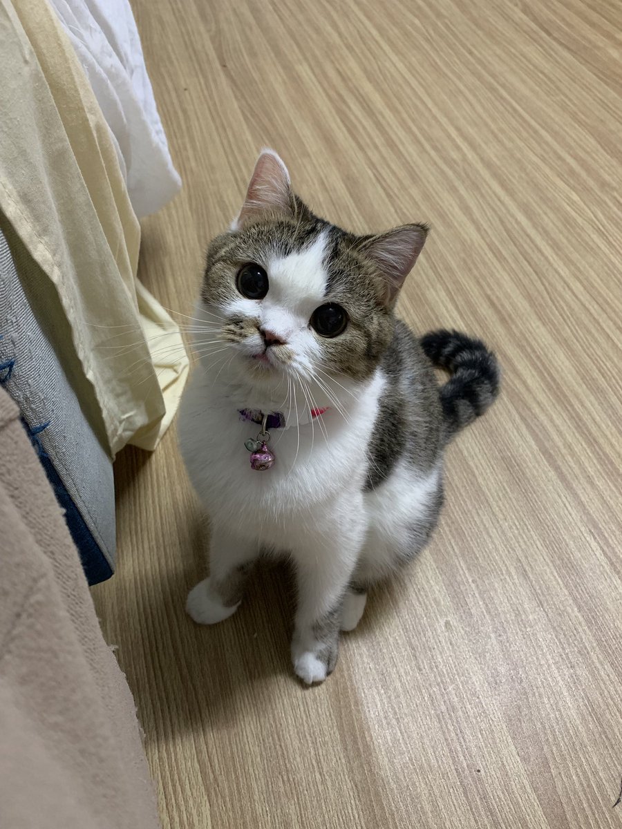 furbyfah's tweet image. ทุกคนจะอยากได้รูปนังอ้นนี่ไปทำไมกันคะ ฮือออ