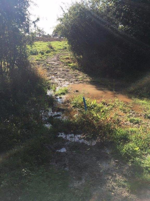 EnvAgencySE's tweet image. Environment Officers have been out in #Hickstead #WestSussex investigating silt pollution from a development. Further enquiries are being made to ensure #trout spawning grounds are protected and practices are changed