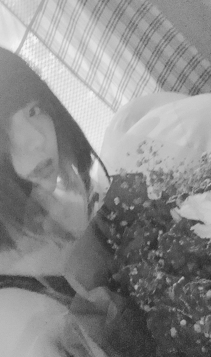disnyna's tweet photo. 🌹 https://t.co/5Gm6XKXhuW