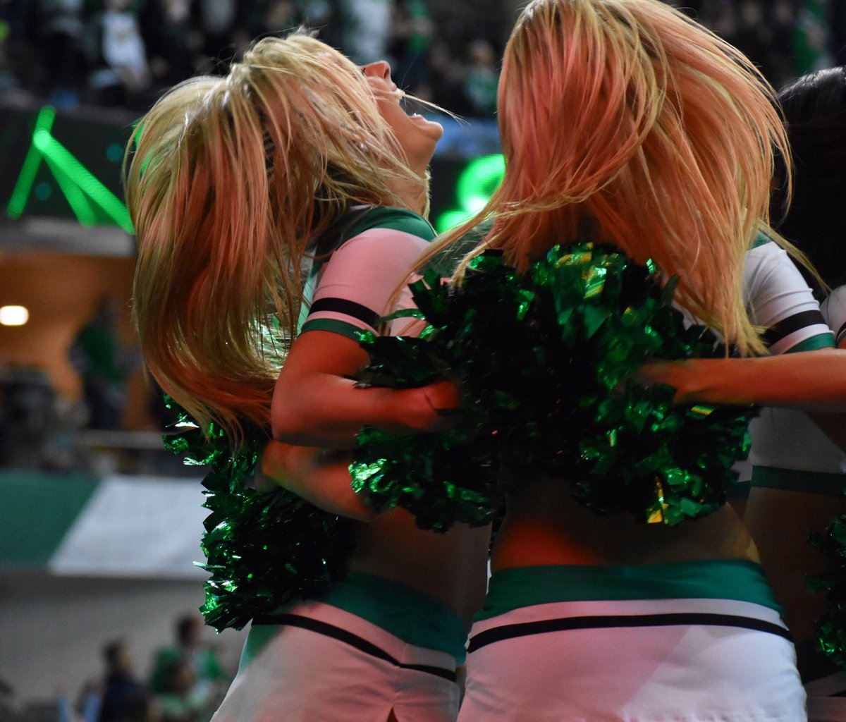 Ali_Miller's tweet image. Oh hi 👋🏻 don’t mind me. Just here to add some Stars and hockey content into your feed.