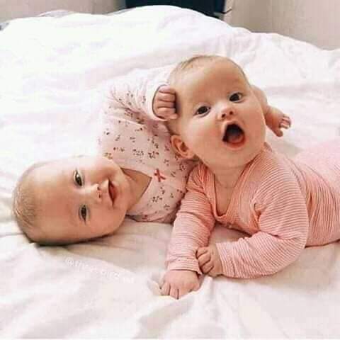 فلسطين في القلب❤🦋💙🦋💛🕊 بالأمال نحيا💙 tweet media