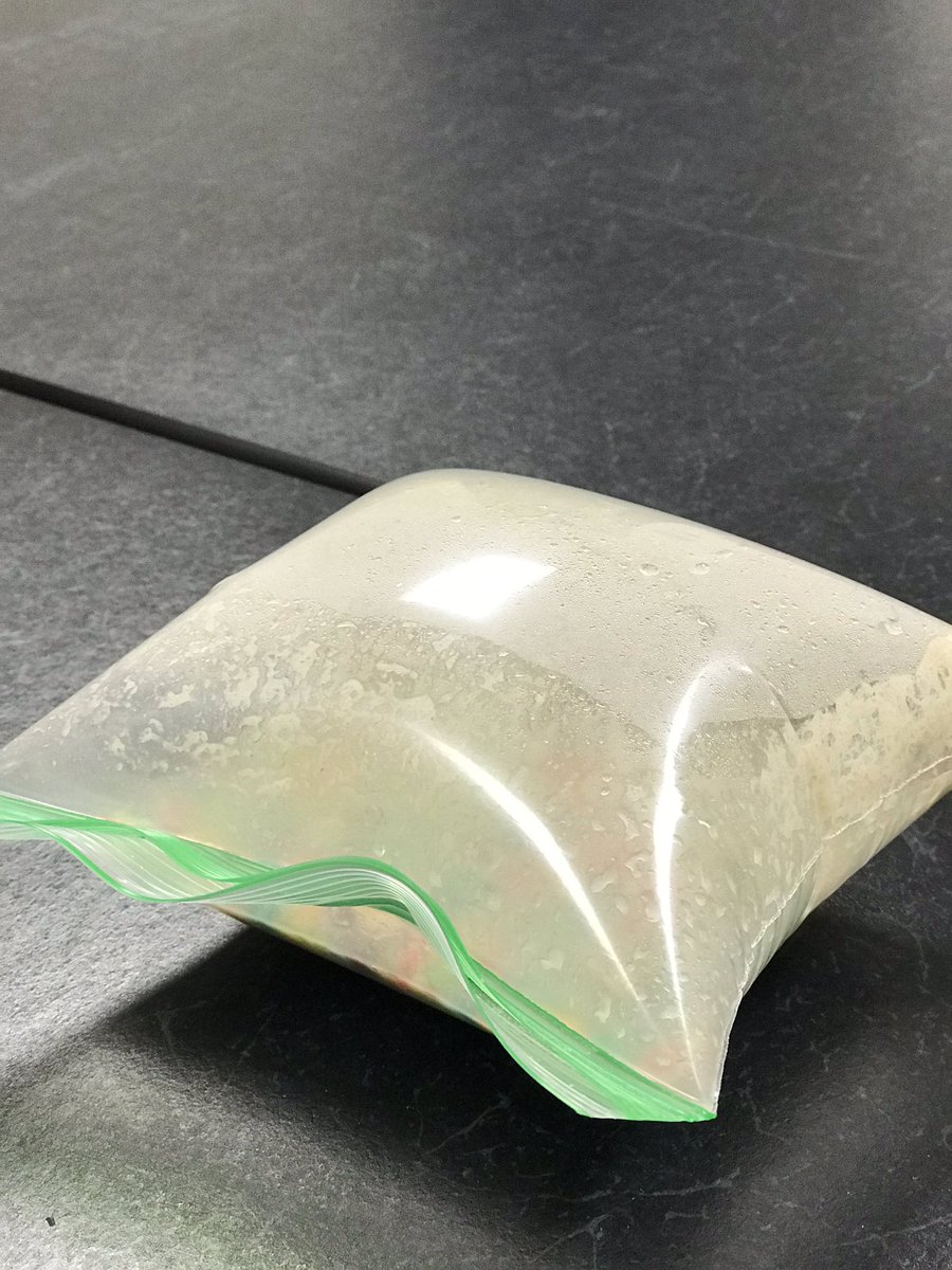 MsDeBottisbio's tweet image. Science exploration, “Barf Bag Lab” simulating Fermentation! Can you hear the release of Carbon Dioxide? #bionerds @MsDeBottisbio @KleinOak #GreatThinkingThursday #staycurious #ALLIN