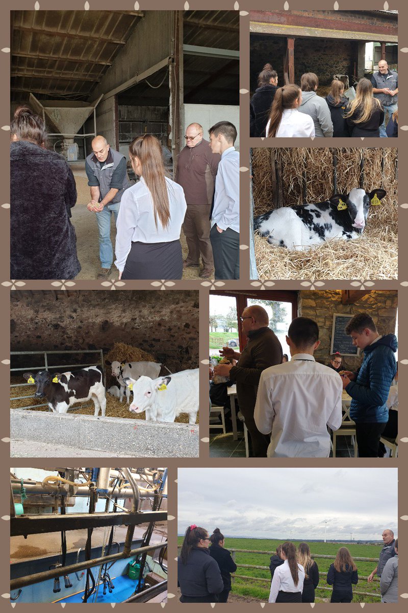 Perth Grammar Health, Food & Textiles tweet media
