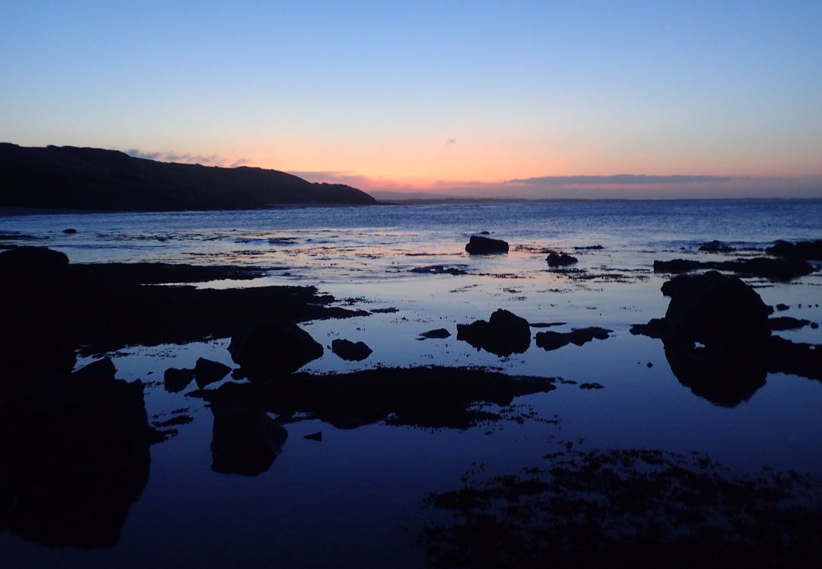 LancasterJane13's tweet photo. #dusk at #Budle any with my friend @cmacleodnolan visiting @northcoastaonb @NTNorthd_Coast @NTFarneIslands @NTlindisfarne #Northumberland https://t.co/Dignb97LJR