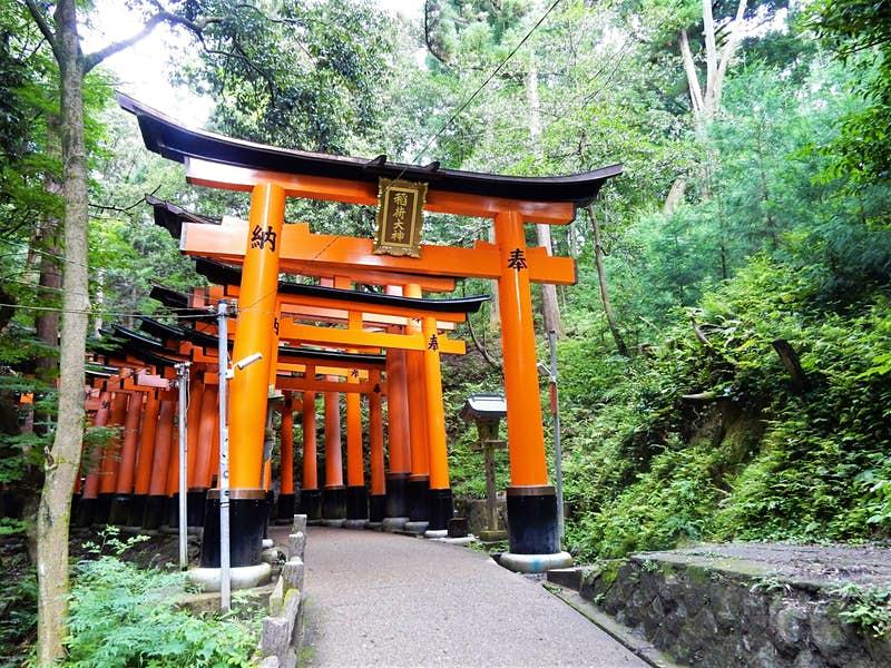 lonelyplanet's tweet photo. These are the 5 best hikes in Kyoto https://https://t.co/tdnEzyWYCt https://t.co/sxqXzUp1p6