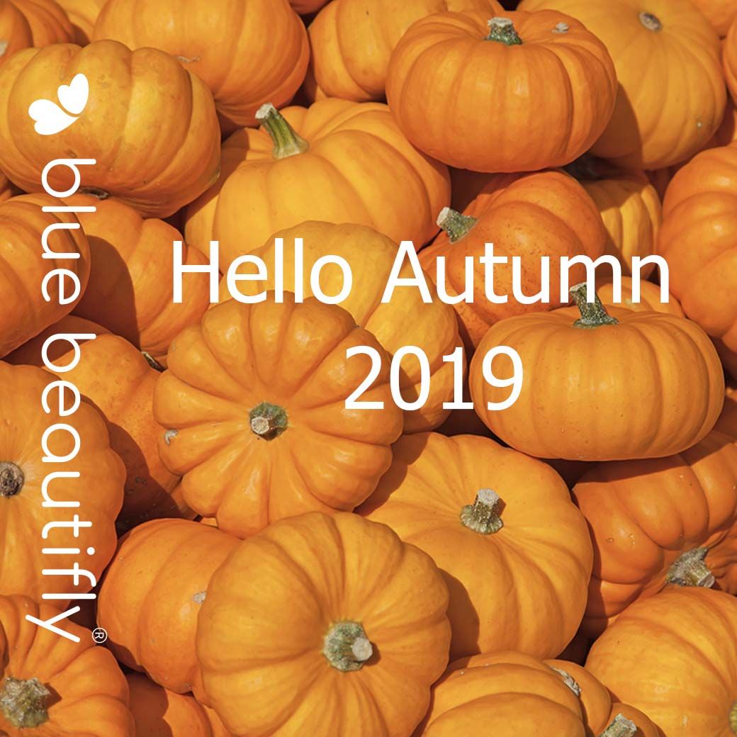 bluebeautifly's tweet image. Wishing you all a bright, warm, and beautiful Autumn.

#Love

#Bluebeautifly Team 

#Autumn #Happy #selflove #selfcare #behappy