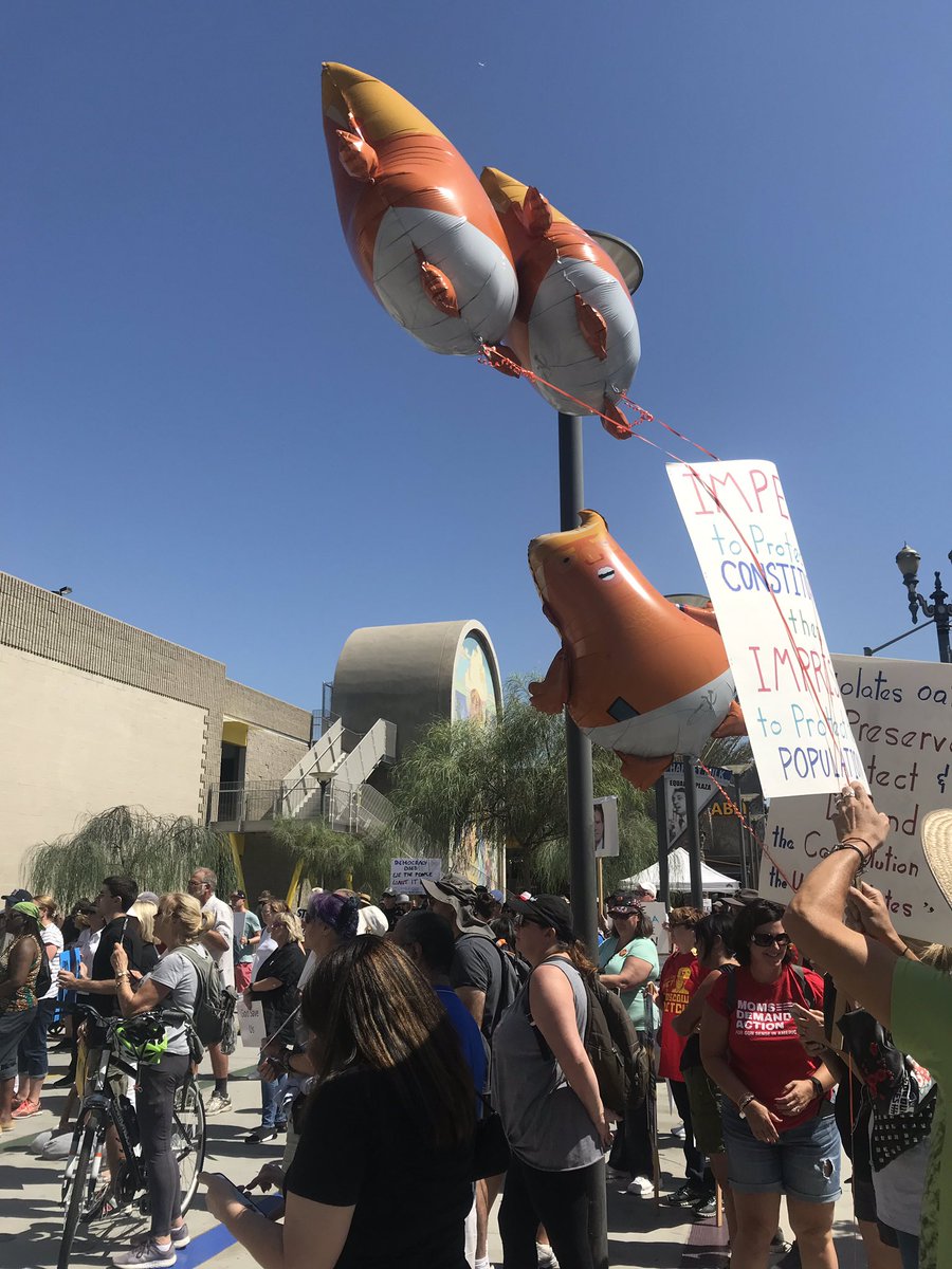 honeyrosie's tweet image. #WeThePeopleMarch Long Beach, CA #TrumpPenceMustGo