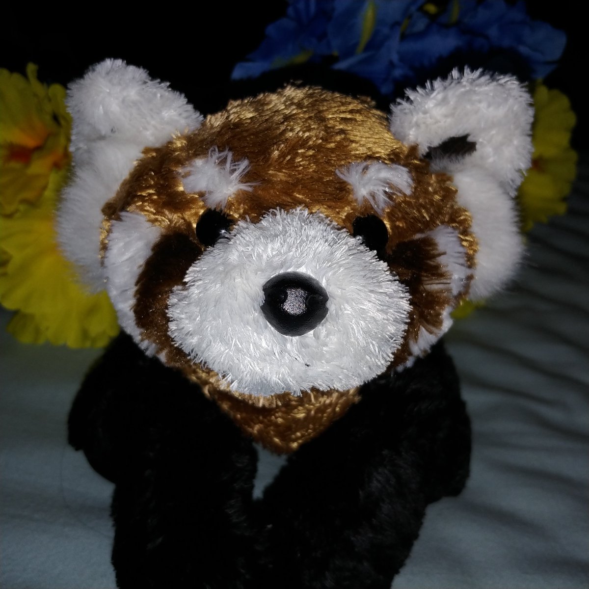 Red pandas are important indicators of the vibrant forests in the Eastern Himalayas. #SaveTheRedPanda #IRPD2019

A plush red panda isn't quite a patch on the real ones. Lets help those cuties out in the wild.