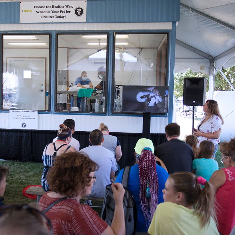 pucvm's tweet photo. 2019 marked the 6th year that #PurdueVetMed partnered with the @IndyStateFair to provide care for the animals at the fair and learning opportunities for our students!
#PurdueVetMed #PVM60 #Purdue150 #TakeGiantLeaps
Learn more it at https://t.co/K5OsdpHeaH https://t.co/e2DiArKYJV