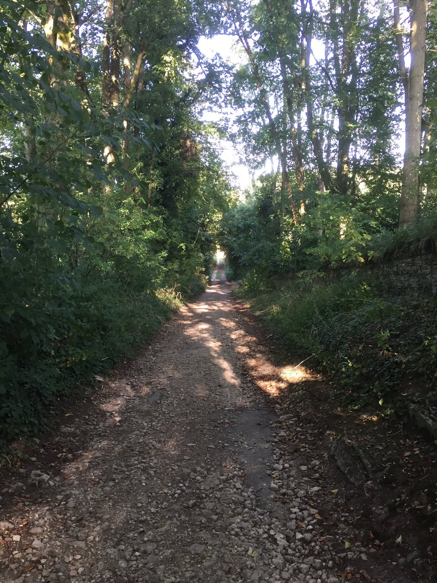 Autumn isn’t far away..... afternoon sun but turning leaves...... #bikeride #genesisbikes #dklein