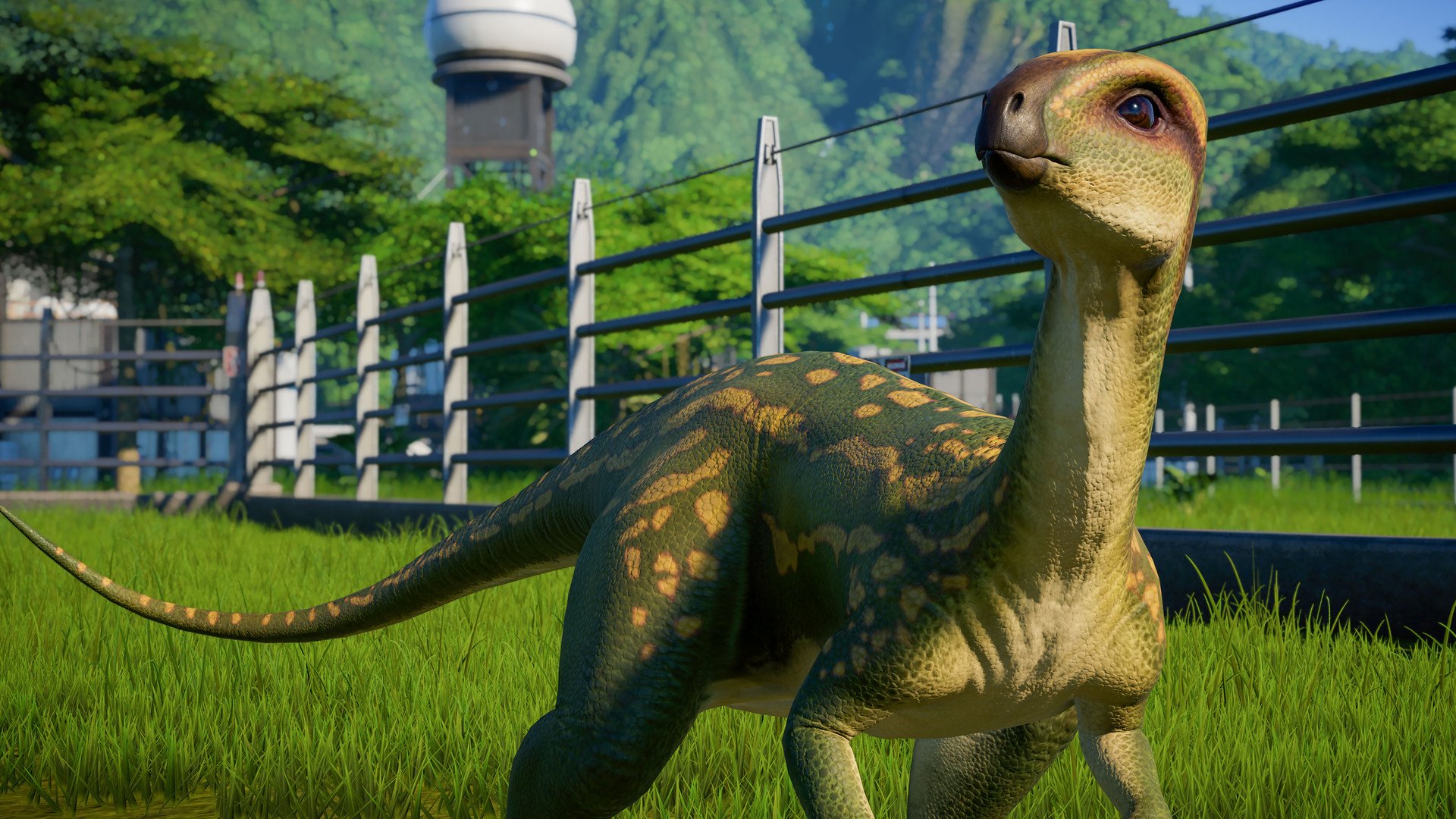 New dinosaur was a plant-eating speed runner