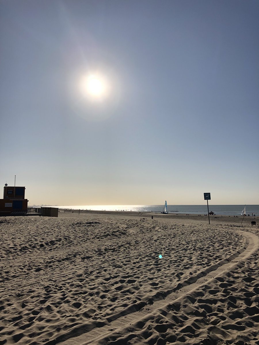 MsB_NL's tweet photo. Enjoying the glorious September sunshine and walking in the dunes #denhaag @thisisthehague https://t.co/kZedD3DVz5