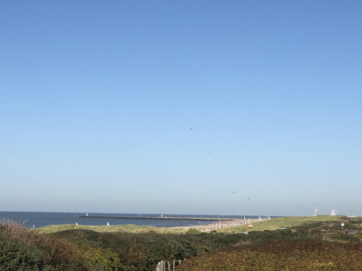 MsB_NL's tweet photo. Enjoying the glorious September sunshine and walking in the dunes #denhaag @thisisthehague https://t.co/kZedD3DVz5