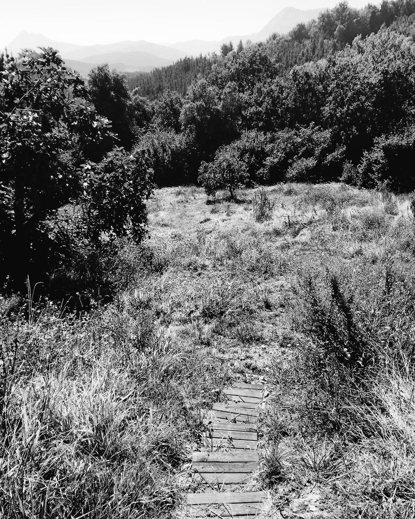 Celebrando dos años de vivir en el bosque.
#korobenito
facebook.com/77636737242736…