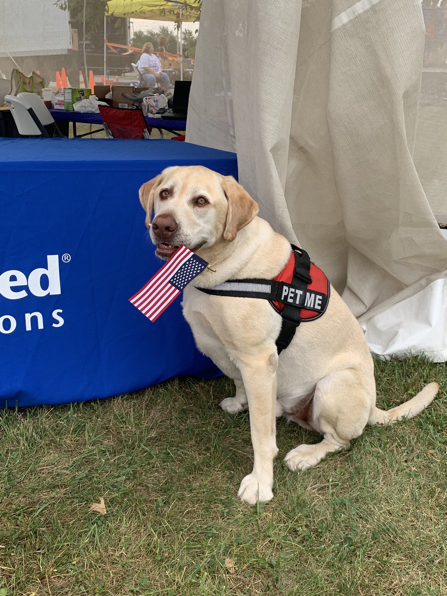 MySOFFtweets's tweet photo. Budrow is here and ready to say hello!!  #SOFF2019 #SalutetoSOFF https://t.co/4zuCFc8kUk