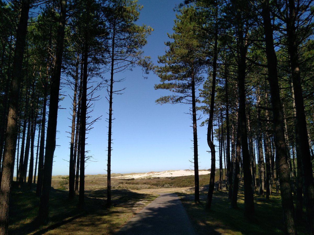 olivierbeens's tweet photo. Waarschuwing: Door LF fietsroutes zoals de Noordzeeroute, krijg je het idee dat heel Nederland beeldschoon is. Wat een prachtig duinlandschap, dat eindeloos lijkt #toerfietsen #duinen https://t.co/JFCBUK3lvv