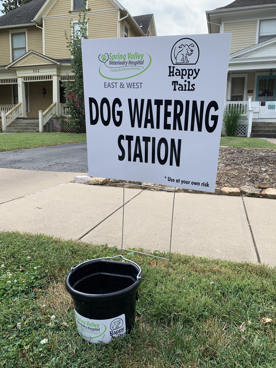 DowntownSGF's tweet photo. Thirsty puppers? Take advantage of our water stations, provided by Spring  Valley Veterinary Hospital! #ciderdayssgf https://t.co/Xo74LEKffF