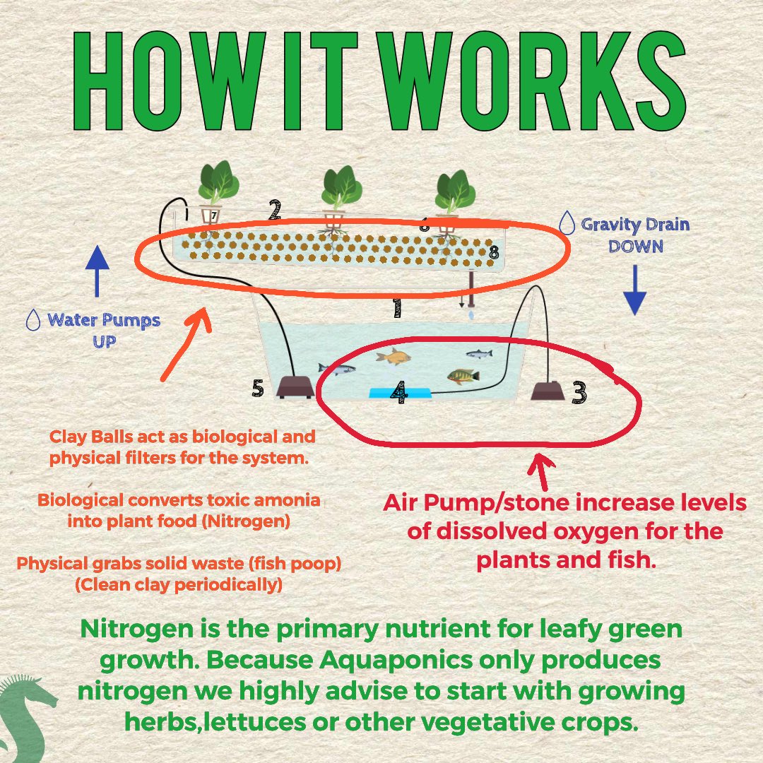 ShoreGrowHydro's tweet photo. Everyone loved the last Aquaponics post we did, so we whipped this post up and broke down a starter system to itsβ simplest form.
If you need any help, just stop by the shop or message us π
#wehelpyougrow #Aquaponics #DIYaquaponics #DIYecosystem #dontpanicitsorganic https://t.co/OeTWm3oq6w