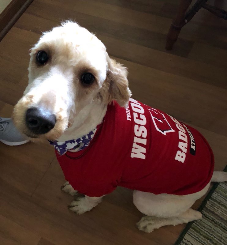 Looking good #OnWisconsin