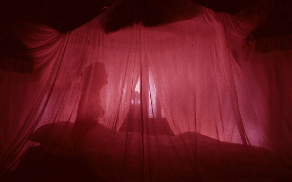 apostIIe's tweet photo. the rocky horror picture show (1975) https://t.co/jSe6nHHMTS