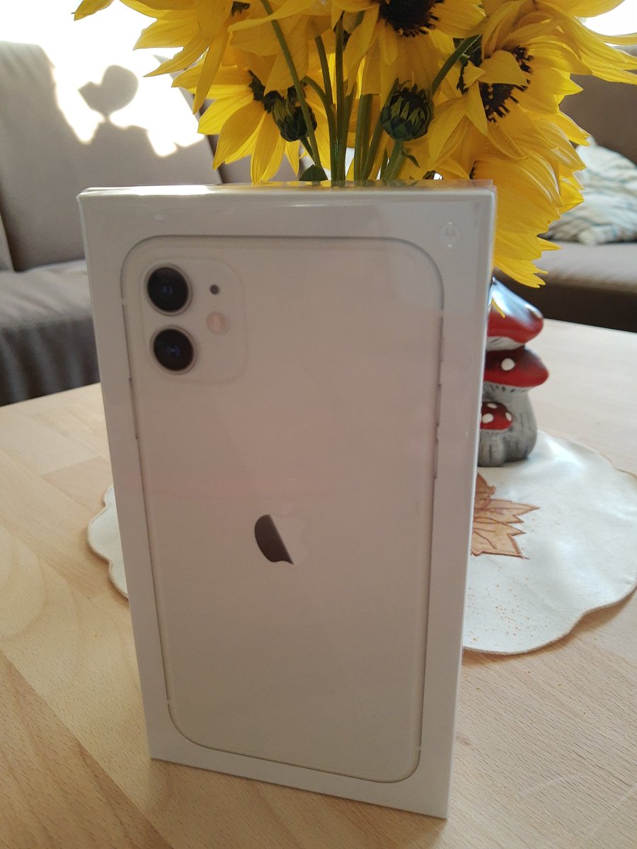 Flash_Box_'s tweet photo. Oh hallo 😁.....wo kommst du denn her 🤔 
#iPhone11 #Apple #videos #folgt
#YouTube #techconnectionyt https://t.co/ucuha7jGPn