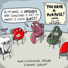 drdrewhuffman's tweet photo. Here's a little #laugh for this #Saturday afternoon! Anyone have big #plans for the last #weekend of the summer?
#LiveYourValue
#ActToImpact
#SaturdayHumor
#MedicalHumor https://t.co/T8Vs3eKHko