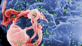 Geovax_News's tweet photo. Blast & fire hits major virus lab in Russia, where HIV, Ebola & anthrax strains are stored https://t.co/mHp2FjXLzh #virus #safety #HIV #Ebola #anthrax #livevirus https://t.co/E3WZDX2G6i