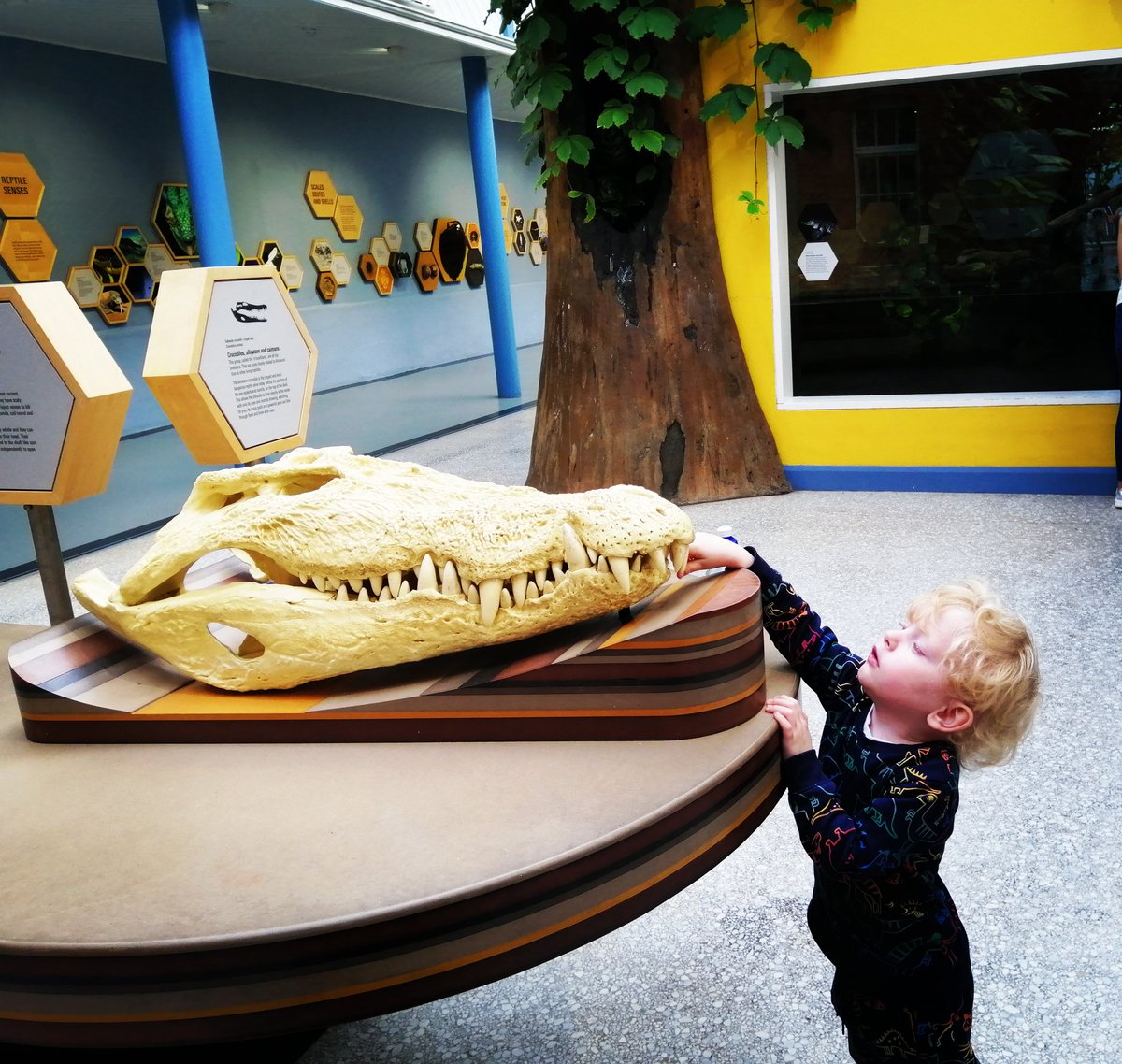 MrsStevieG's tweet photo. Little trip to the Zoo with my little man 😍
#18000steps
#wrecked
#HeHasMeSkint
#IsItTimeForADrinkYet
#IveEarnedIt https://t.co/DjjbBMRrAr