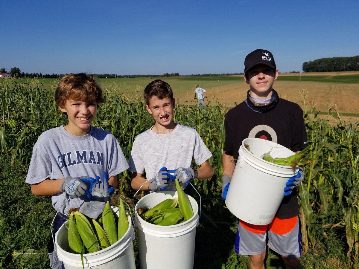 llenod's tweet photo. Thankful for so many families who supported Gilman's Service Saturday with the good folks at First Fruits Farm. We helped harvest 28,000 pounds of corn! #GilmanSchool https://t.co/PIbHUPIFV0