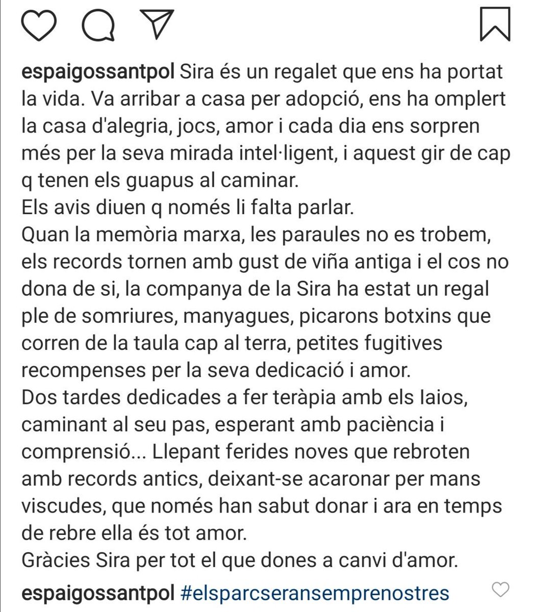 gos_pol's tweet photo. Avui us presentem a Sira. De veritat algu pot pensar que aquests animals poden fer mal? 
#elsparcsseransemprenostres
#EllsNoHoFarienMai
#VolemElNostreEspai
#espaiGosSantPolDeMar
@ajsantpol https://t.co/uVQAKFb0X0