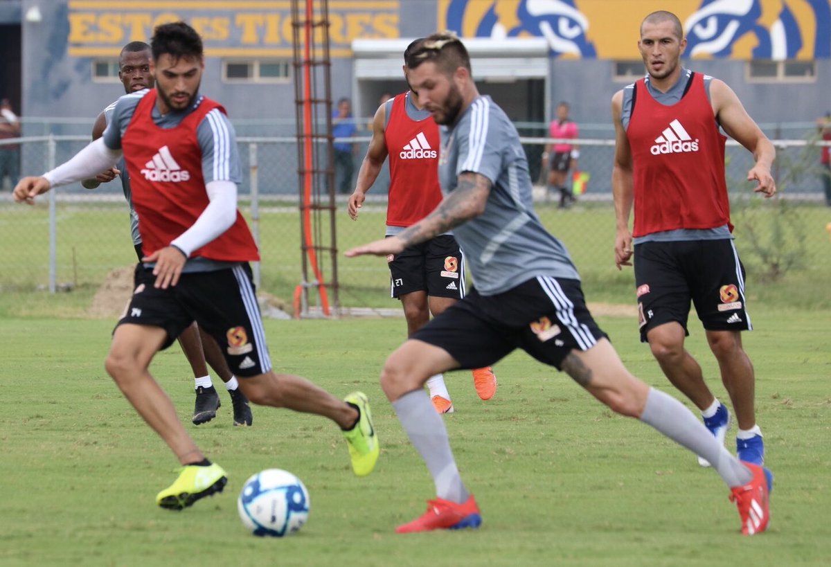 TigresOficial's tweet photo. ▶️ En un Entrenamiento dirigido por los auxiliares Hugo Hernández, Miguel Mejía Barón y Juninho, el equipo entrenó en La Cueva pensando en el juego ante @ClubPueblaMX 

💥 La intensidad en la recuperación y desdoble del balón fue el común denominador.

#VamosTigres
👊🏽💪🏻 https://t.co/M5qf07Qi6H