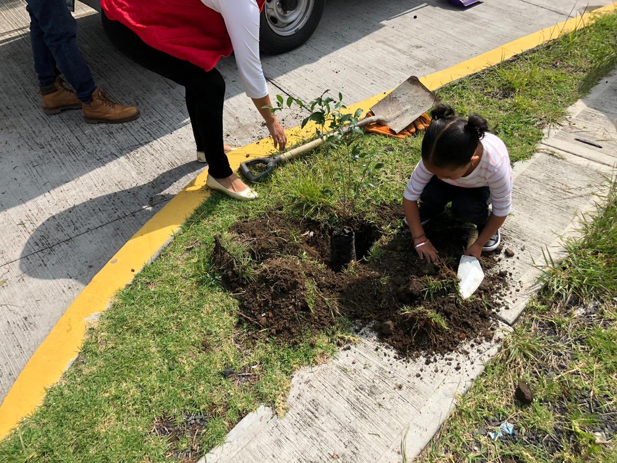 PRI Ciudad de México tweet media