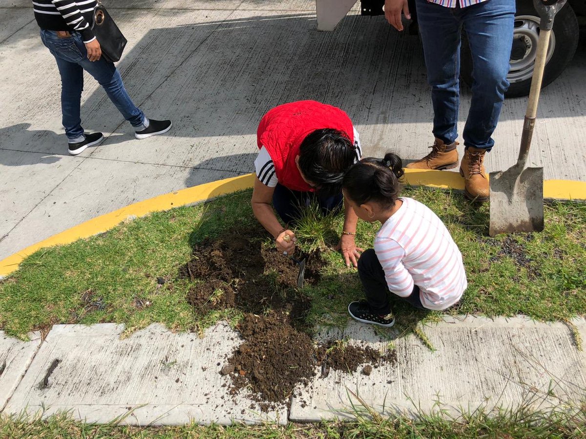 PRI Ciudad de México tweet media