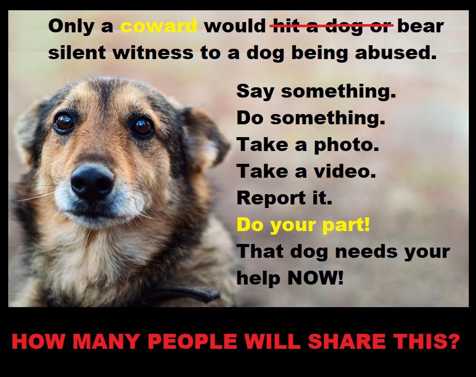 Protect_Wldlife's tweet photo. Only a COWARD would hit a dog or bear silent witness to a dog being abused or neglected!

Say something.

Do something.

Take a photo.

Take a video.

Report it.

Do your part!

That #dog needs YOUR help! NOW!! https://t.co/NUloQ67iYI