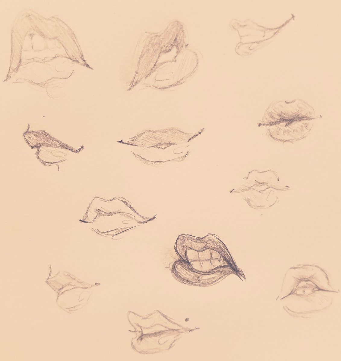 TiltedHaloPs44's tweet photo. My friend was working on a #lipstudy so I figured hey why not! So, have some #lips lol #pencilsketch #Pencildrawing #pencilart #traditionalart #traditional #pencil #practice #mouths #study #art https://t.co/kim6iVrqqb