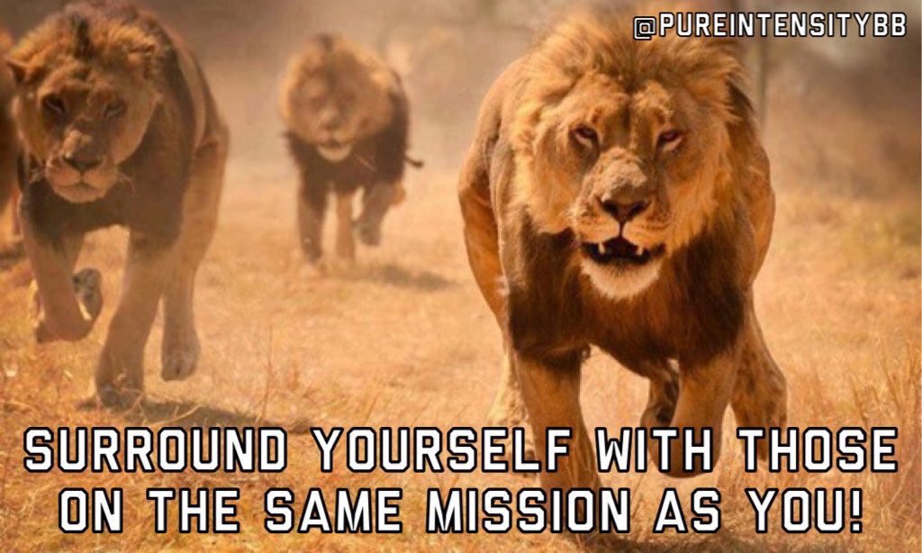 PureIntensityBB's tweet photo. Surround yourself with those on the same mission as you! https://t.co/rWdfqdUkn1