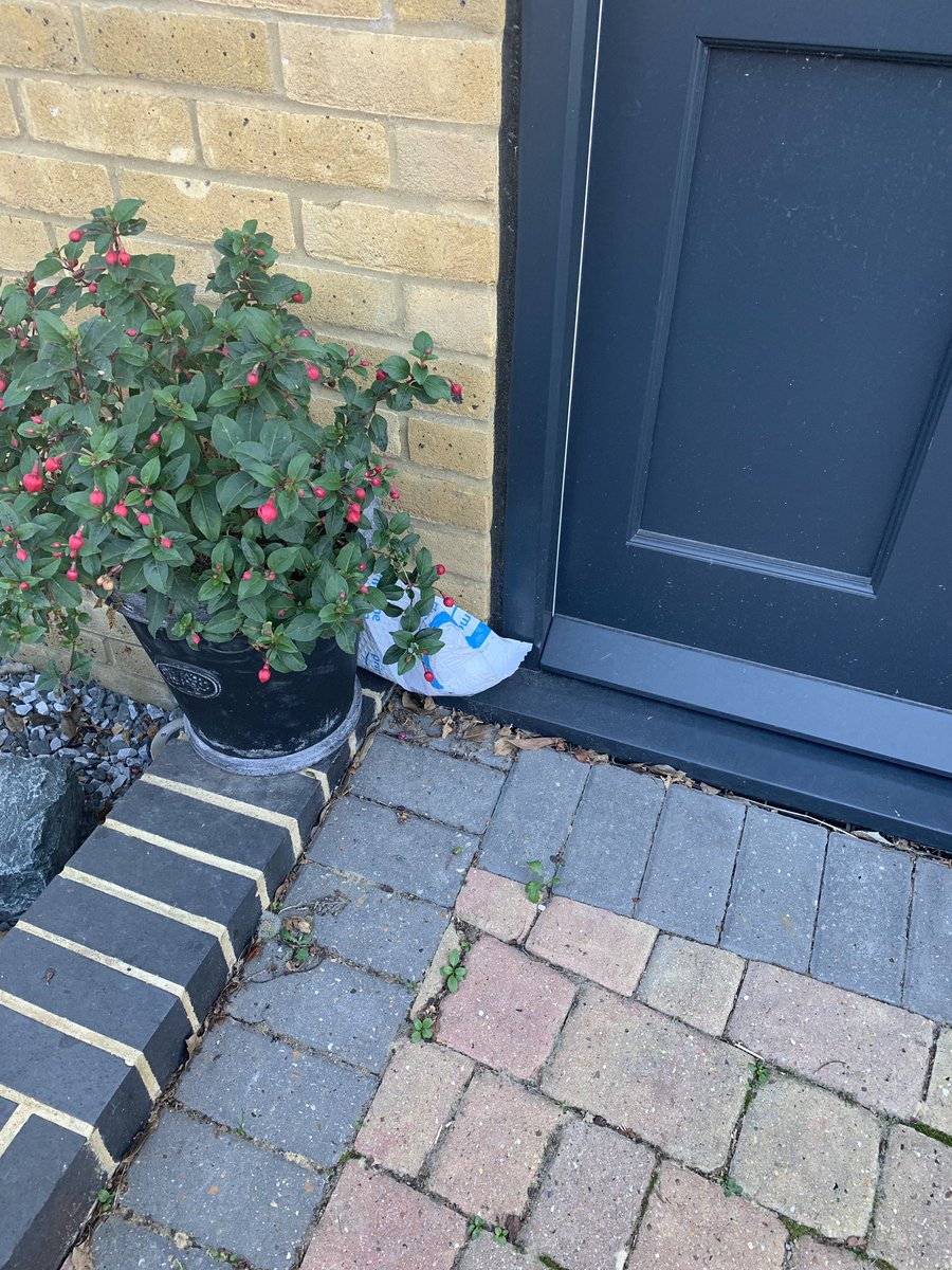 kate_storey's tweet photo. @amazon I am SO SICK of your delivery drivers total disregard for our packages!!! Today returned to yet ANOTHER package abandoned (in full view as well!) which was apparently ‘handed to resident’ they didn’t even bother to leave a delivery card this time either!... total joke 😡 https://t.co/R5MFWMIskn
