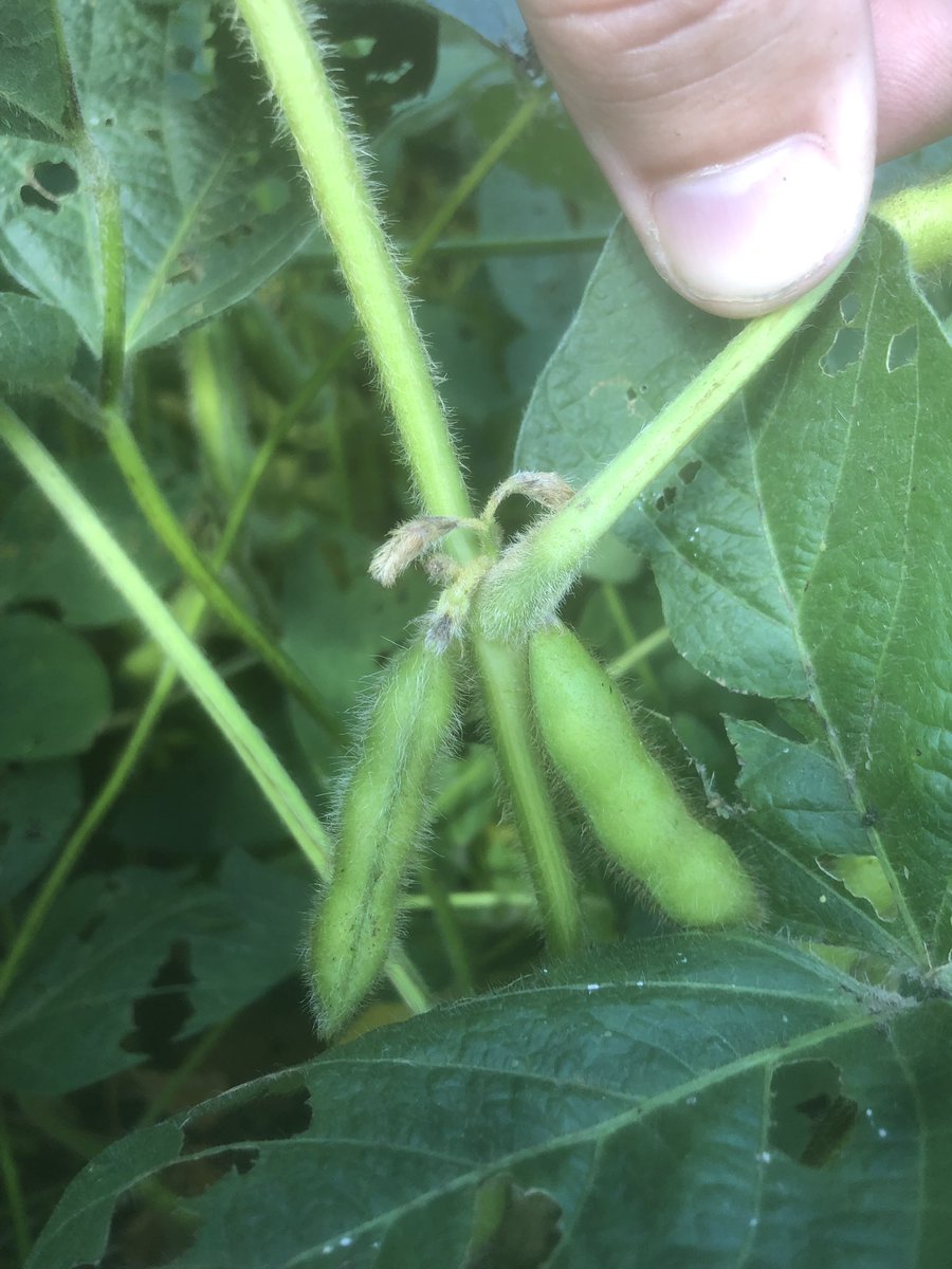 Jason Schley tweet media