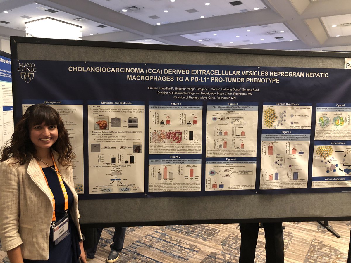 Great work by @SumeraRizviMD @MayoClinicGIHep on cholangiocarcinoma presented at #ILCA_19! @JuDongYang1 @AASLDtweets @AmerGastroAssn @docamitgs