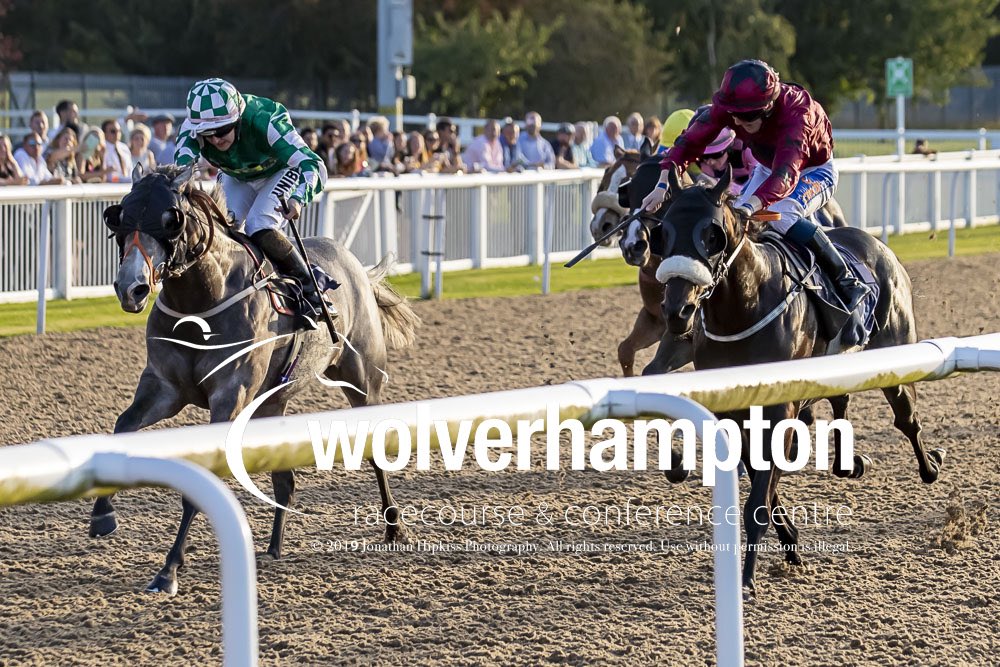 Wolverhampton Races tweet media