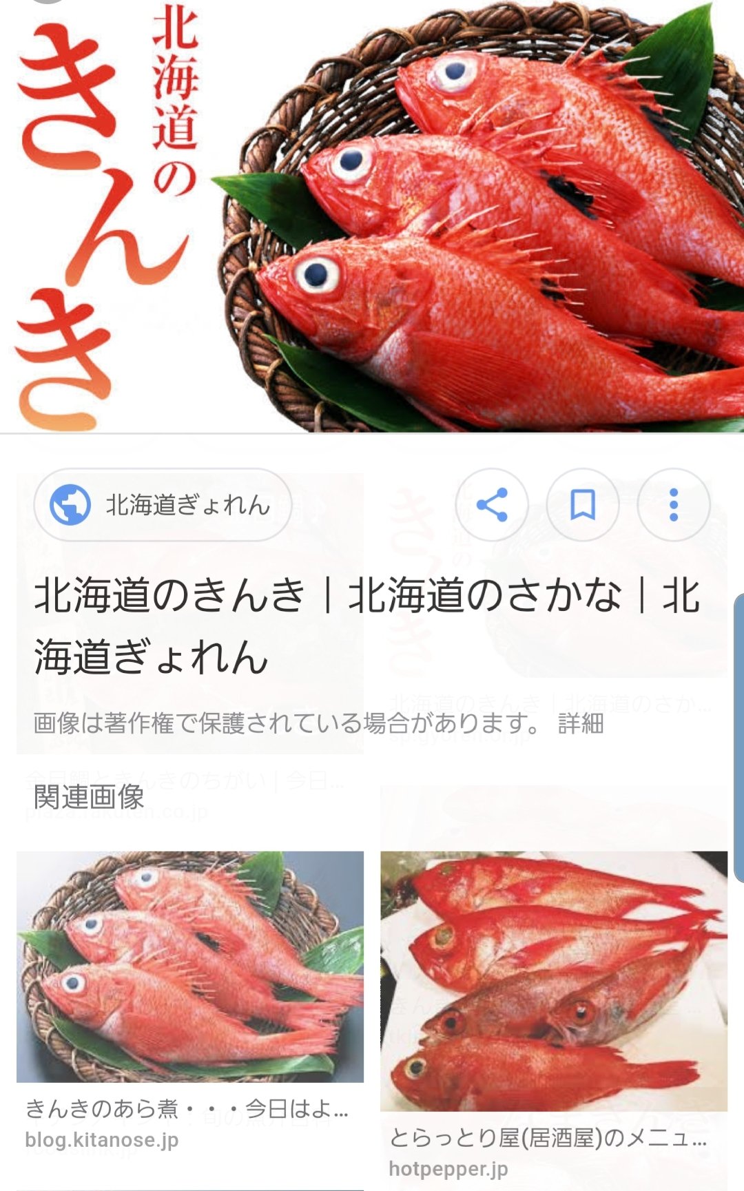 トラジャーノン ºwº בטוויטר きんき 別名 俗名 めんめ 北海道の高級魚 脂が乗ってて干物の開きとか炉端焼きにされてます 本場釧路 0 500m棚くらいの深海魚扱い キンメも似たような棚です トラジャーノン ºwº בטוויטר きんき 別名 俗名 めんめ 北海道の高級魚 脂が乗ってて干物の開きとか炉端焼きにされてます 本場釧路 0 500m棚くらいの深海魚扱い キンメも似たような棚です