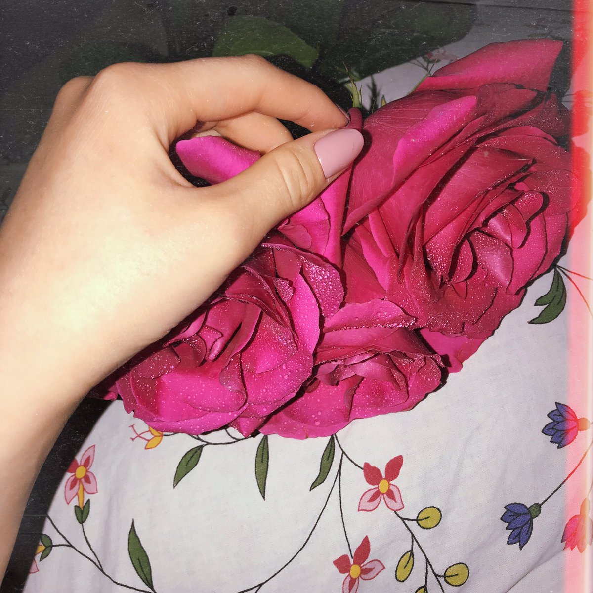 sonyaaa_18's tweet photo. И сколько бы с горяча не кричала 
И сколько бы не грубила 
Я каждый день скучала
И честно всегда любила 🔐 https://t.co/aWl3egMQ3x