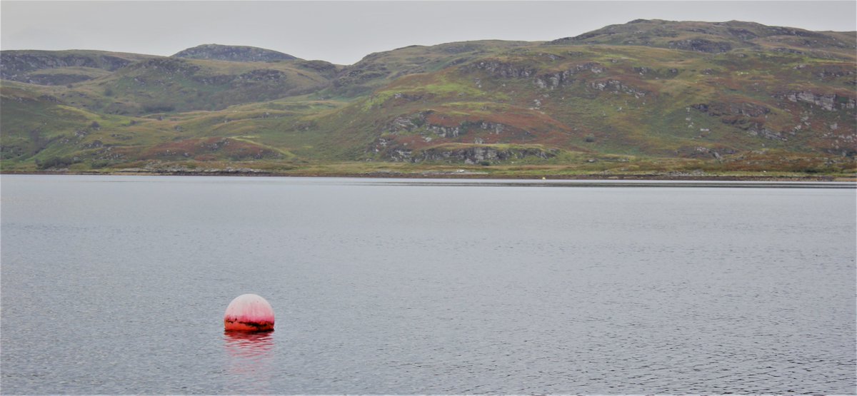 ckellyedits's tweet photo. #SeptSail 2019 photo dump continuing - this time some filtered photos of #Tighnabruaich love the #WheresWally #WheresWaldo statue, and of course, the scenery! Birds balancing on buoys is also a win imo #photography #scotland #seescotland https://t.co/rxVSqrN1Q9