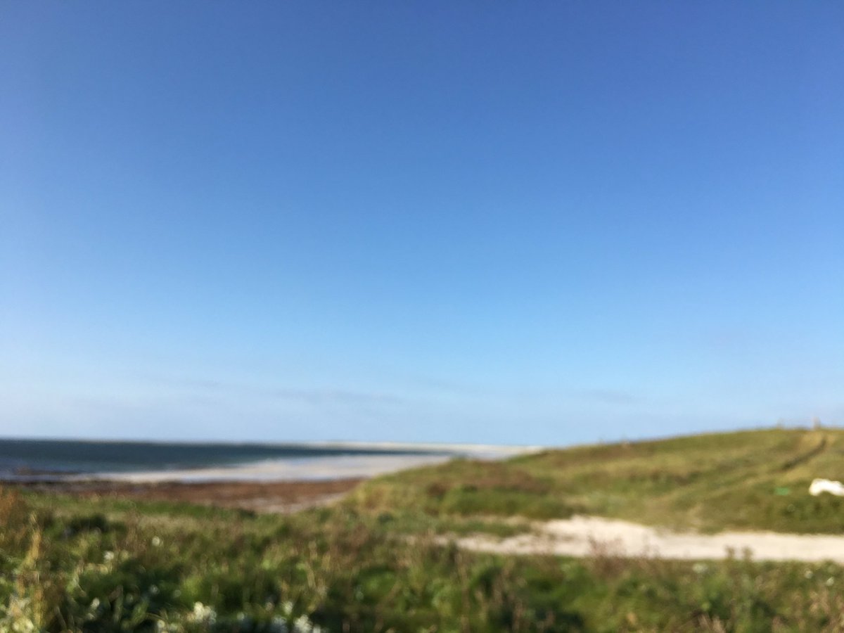 ScentedForager's tweet image. I sat on a rock with Coco, and @allanjenkins21 #emptybeach #southuist. A chap turned up and sat on a rock opposite me. Perhaps it is his fave rock.He greeted me, sat for a minute or two looking out to sea and walked away. Bizarrely,I was reading about Rosa rugosa #invasive